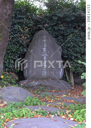 安中藩安政遠足之碑 30614153