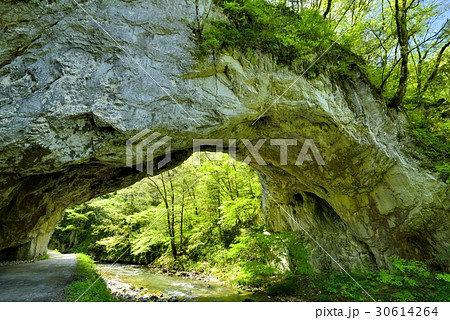 新緑の雄橋 30614264