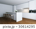 3d render white contemporary kitchen in big house 30614295