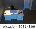 Contemporary office cabinet. Night scene. 3d  30614309