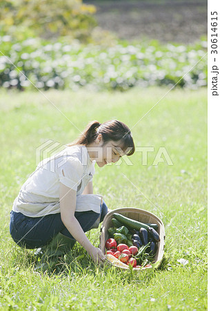 夏野菜と女性 夏野菜と女性 30614615