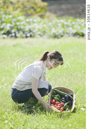 夏野菜と女性 夏野菜と女性 30614616