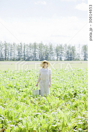 農業女子 農業女子 30614653