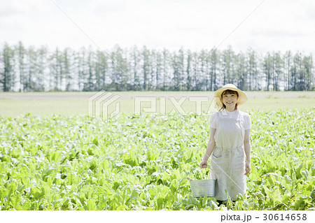 農業女子 農業女子 30614658