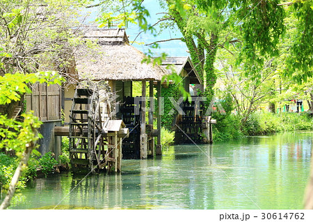 大王わさび農園 水車 大王わさび農園 水車 30614762