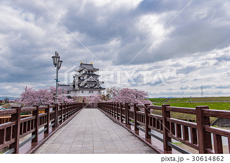 墨俣一夜城　犀川堤の満開の桜　太閤出世橋 30614862