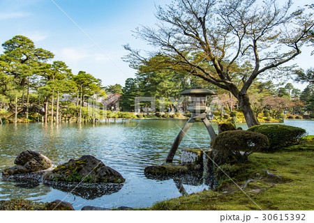 金沢　春の兼六園　霞ヶ池とことじ灯篭 30615392