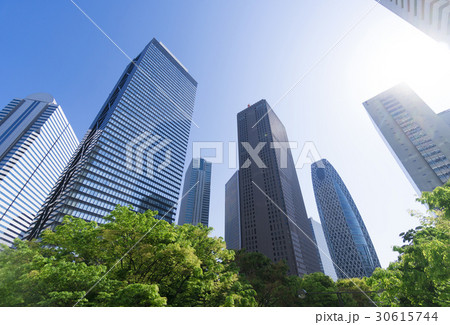 東京都市風景　新緑の新宿高層ビル群を見上げる　逆光 30615744