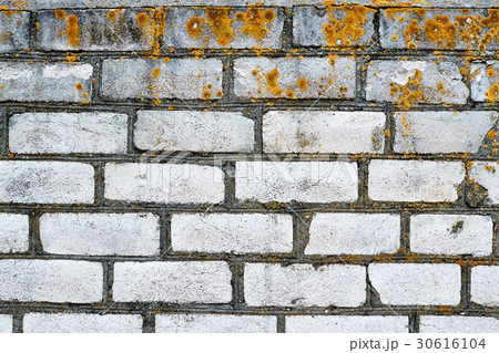 brick wall overgrown with moss brick wall overgrown with moss 30616104