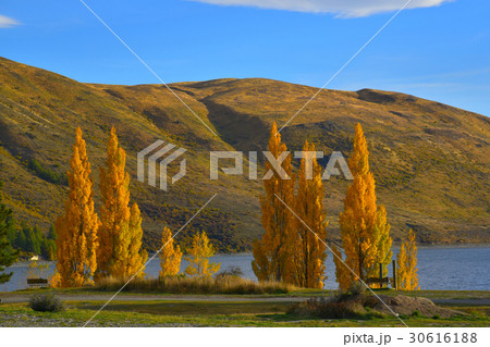 Autumn yellow leaf with background of great nature Autumn yellow leaf with background of great nature 30616188
