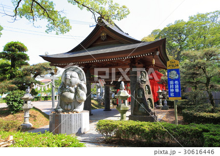田村神社の狸 田村神社の狸 30616446
