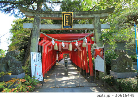 田村神社　北参道 30616449