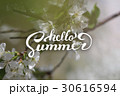 Flower Background and Hello Summer Lettering. 30616594