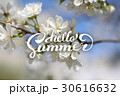 Flower Background and Hello Summer Lettering. 30616632