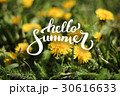 Flower Background and Hello Summer Lettering 30616633