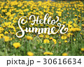 Flower Background and Hello Summer Lettering 30616634