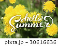 Flower Background and Hello Summer Lettering 30616636