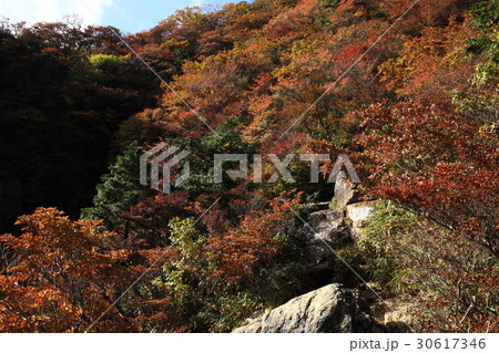 御在所岳より 30617346