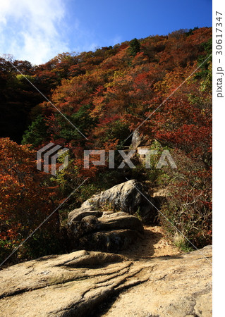 御在所岳より 30617347