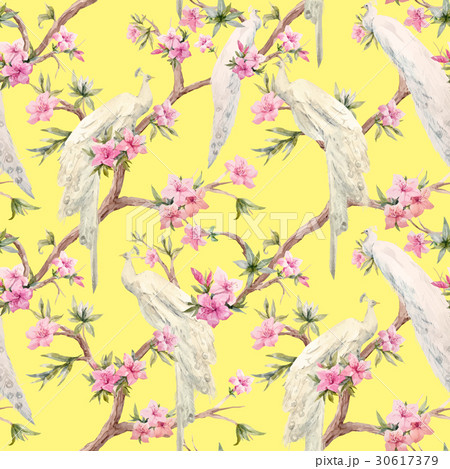 Watercolor vector peacock and flowers pattern 30617379