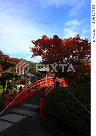 神泉苑の紅葉 30617488