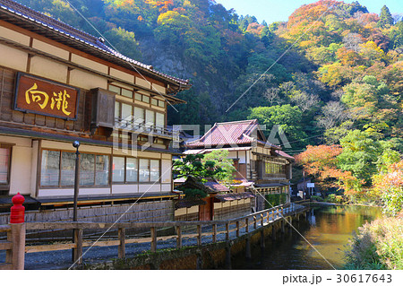 秋の東山温泉(会津若松市) 秋の東山温泉(会津若松市) 30617643