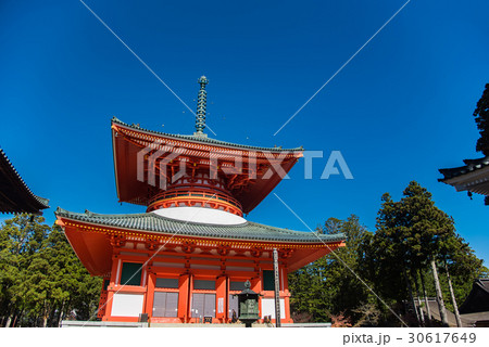 和歌山　紅葉の高野山　根本大塔 30617649