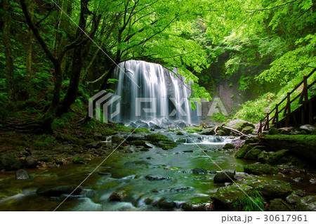 夏の達沢不動滝（猪苗代町） 30617961