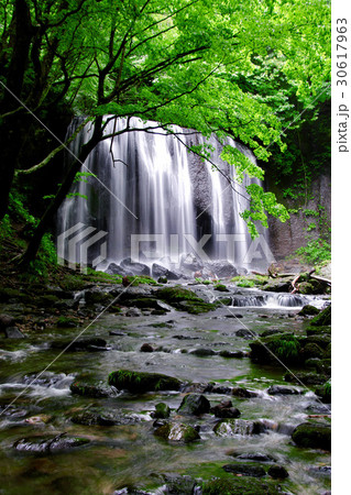 夏の達沢不動滝（猪苗代町） 30617963