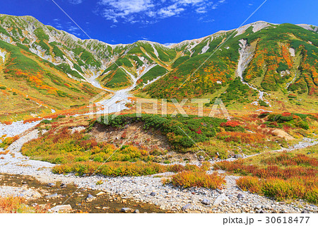 富山県_絶景立山室堂紅葉 30618477