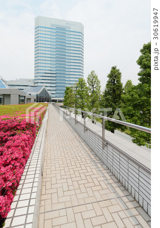 幕張テクノガーデン 30619947