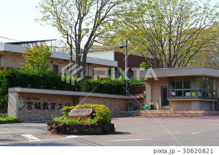 宮城教育大学　正門　Miyagi University of Education 30620821