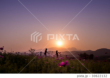 Sunset or sunrise scenery with female on bicycle 30622132