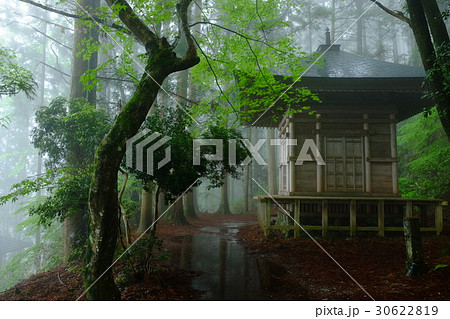 雨の義経隠れ塔(奈良県吉野郡吉野町) 雨の義経隠れ塔(奈良県吉野郡吉野町) 30622819