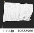 Isolated White flag 30622966