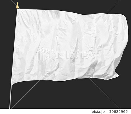 Isolated White flag 30622966