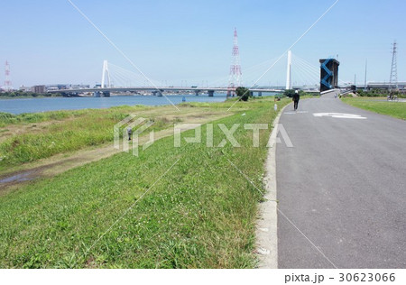 初夏の川崎市中瀬の多摩川堤防から見る遊歩道と大師橋 初夏の川崎市中瀬の多摩川堤防から見る遊歩道と大師橋 30623066