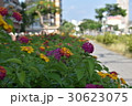 交通 通行 トラフィック 30623075