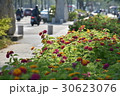 交通 通行 トラフィック 30623076