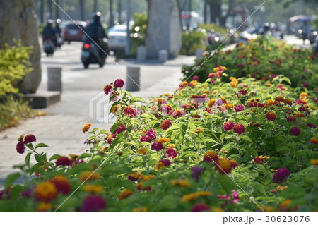 交通 通行 トラフィック 30623076