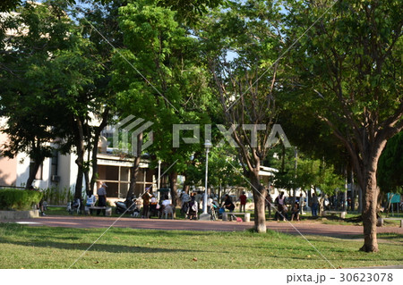 公園 パーク 園 30623078