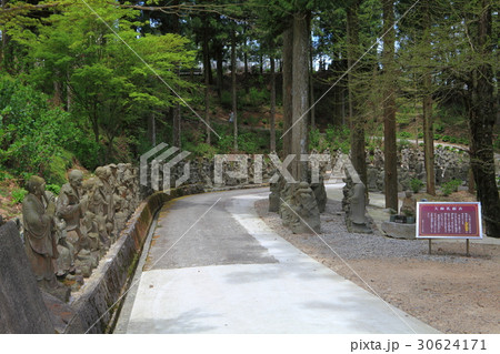 雲辺寺の五百羅漢 30624171