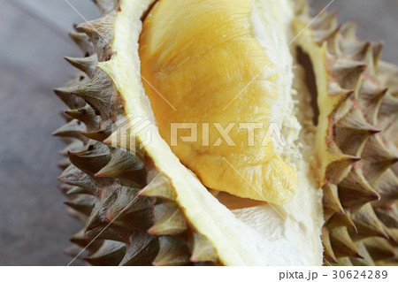 Yellow Durian Yellow Durian 30624289