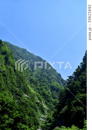 黒部川の景色 黒部川の景色 30625692