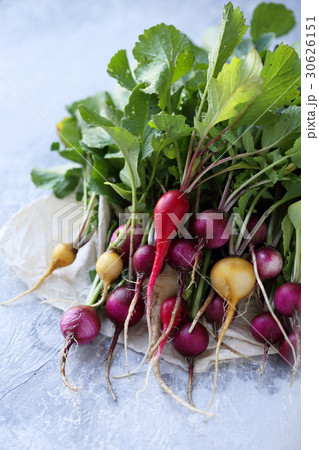 bunch of organic radishes bunch of organic radishes 30626151