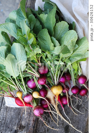 Large bunch of organic radishes Large bunch of organic radishes 30626152