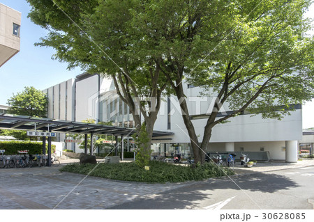 東村山市役所 東村山市役所 30628085