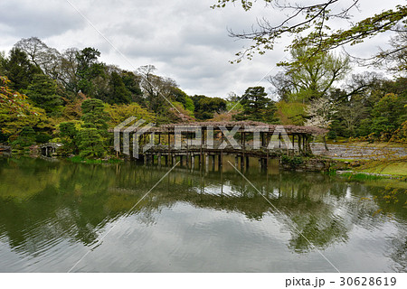 仙洞御所 南池の八ッ橋 仙洞御所 南池の八ッ橋 30628619
