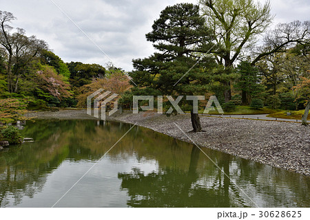 仙洞御所　南池　州浜と一升石 30628625