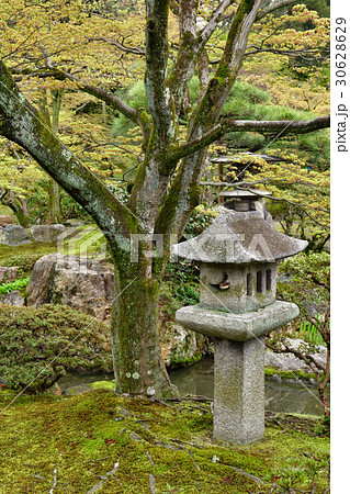 仙洞御所 南池 草屋形の燈籠 仙洞御所 南池 草屋形の燈籠 30628629